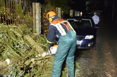 Weinstadt-Baach: Grosser Baum faellt auf geparktes Auto - Pkw Totalschaden